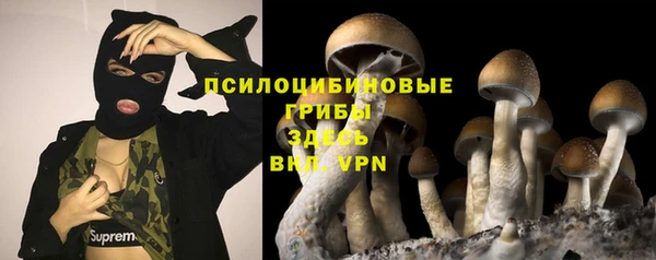 ешки Белоозёрский