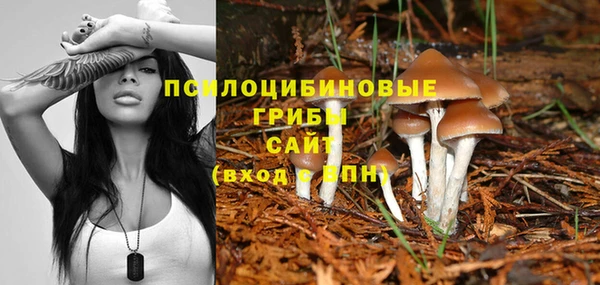 гашишное масло Беломорск