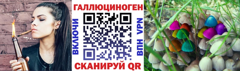 Купить закладки  Полярный  Галлюциногенные грибы Psilocybine cubensis 